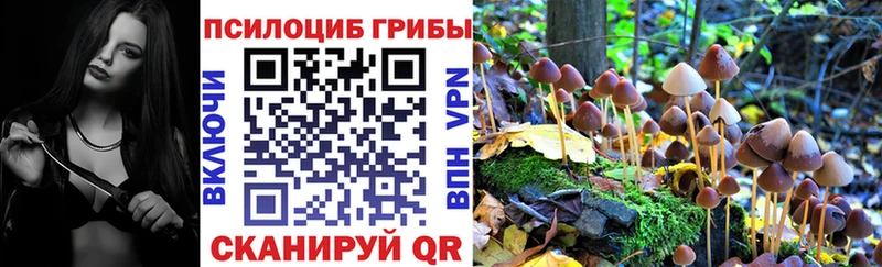 OMG вход  Звенигово  Галлюциногенные грибы GOLDEN TEACHER 
